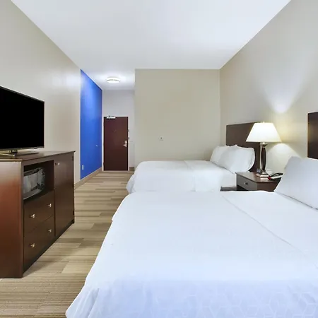Holiday Inn Express Niles By Ihg-3